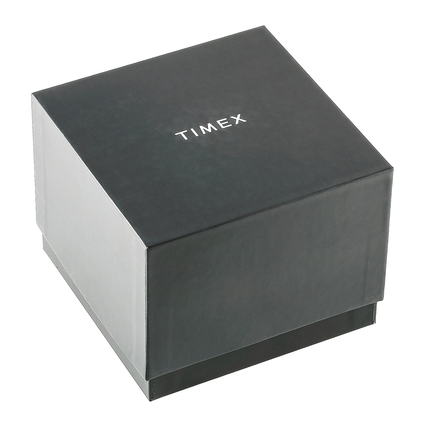 TIMEX TW2V66600 0194366242447