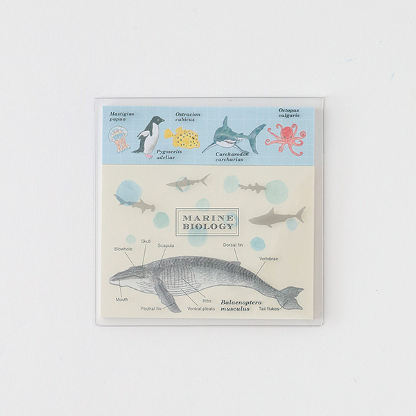 ST-176 クリアカバー付箋(海洋生物学)