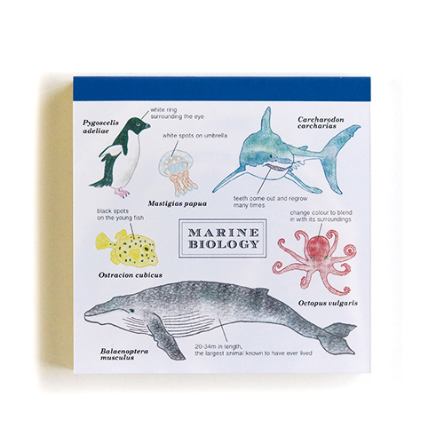 ST-060 メモパッド・スクエア(海洋生物学)