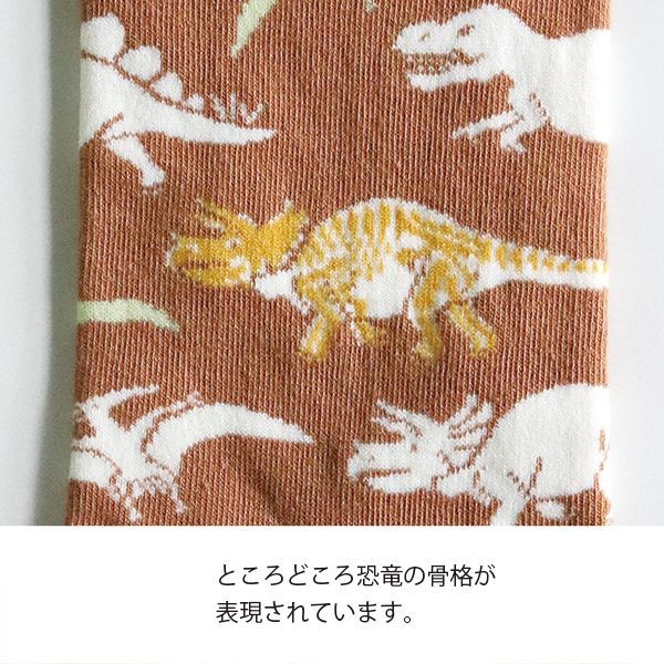 ST-089 靴下(古生物学)
