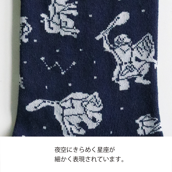 ST-093 靴下(天文学)