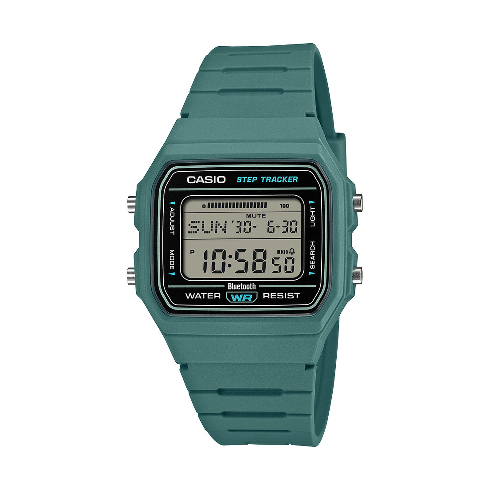 CASIO COLLECTION F-B100W-3AJF 4549526428760